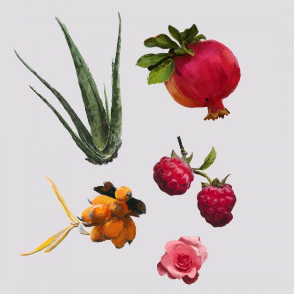 11_digitální ilustrace